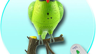 Polly Want a Wireless Doorbell?